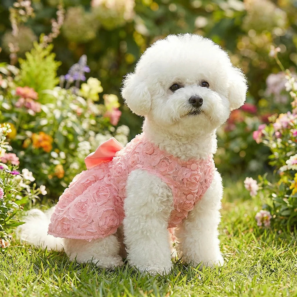 Princess Dress Embroidered Flower Pet Pink Bowknot Princess