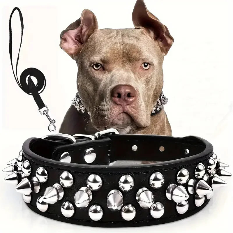 Spiked Dog Collar And Leash Set, Rivet Leather Dog Collar
