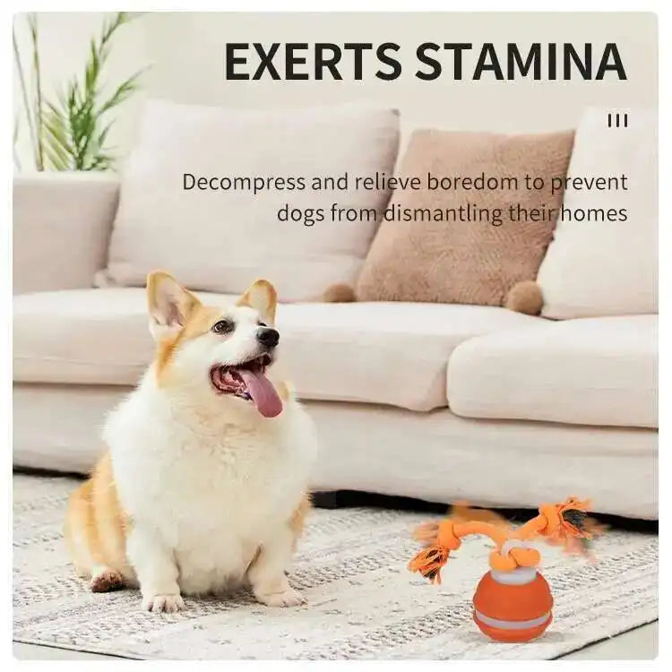 Interactive Teasing Ball With Motion Activated Automatic Moving Squeaky Dog Toy