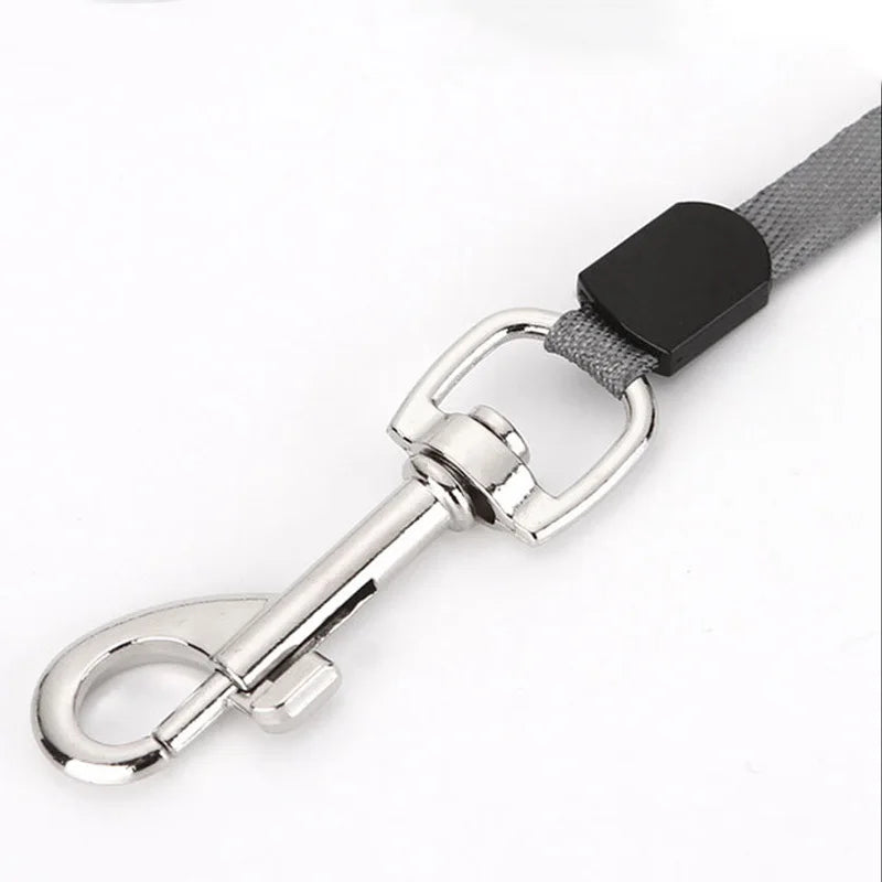 Nylon Dog Leash Automatic Retractable Durable Dog Lead For Small Dogs