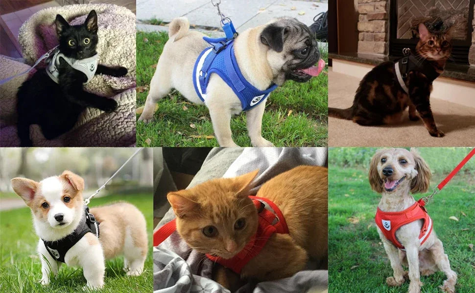 Reflective Breathable Small Dog Harness and Leash