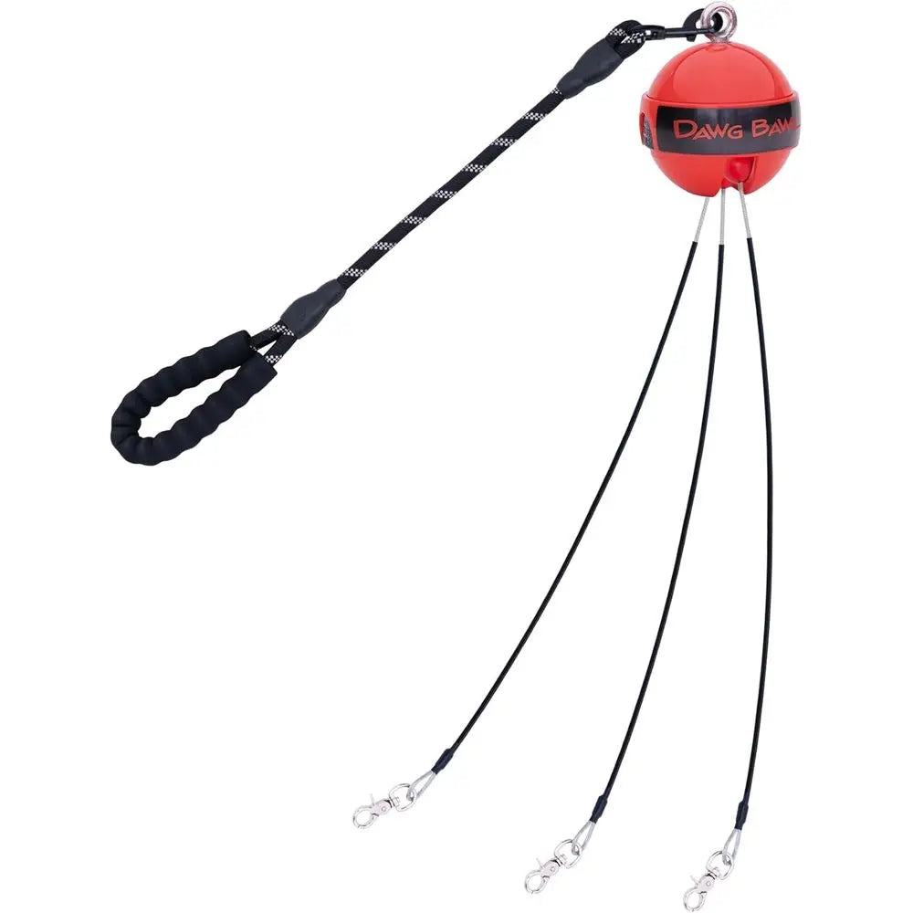 Tangle-Free Multi-Dog Leash for 2-4 Dogs