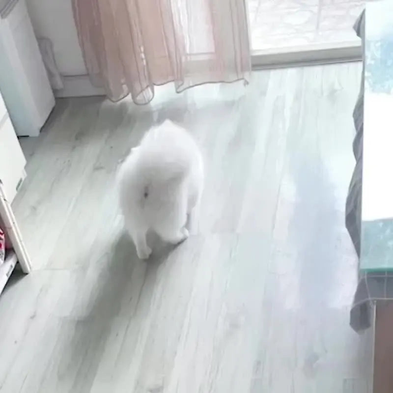 Squeaky Giggle Wobble Ball - Durable, Interactive