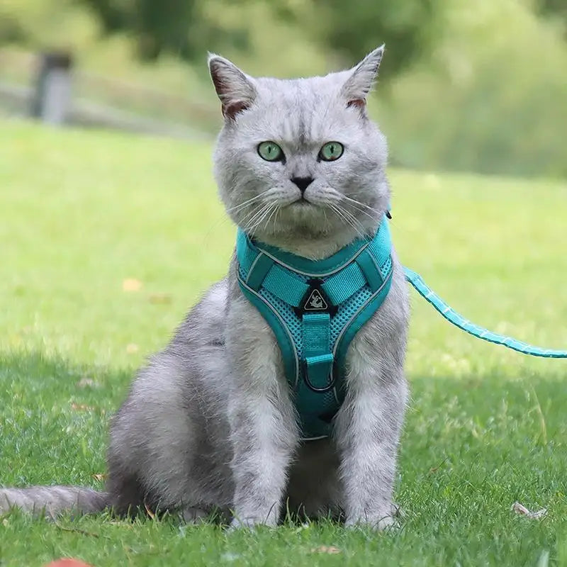 No Pull Dog Harness and Leash Set Adjustable Pet Harness Vest.