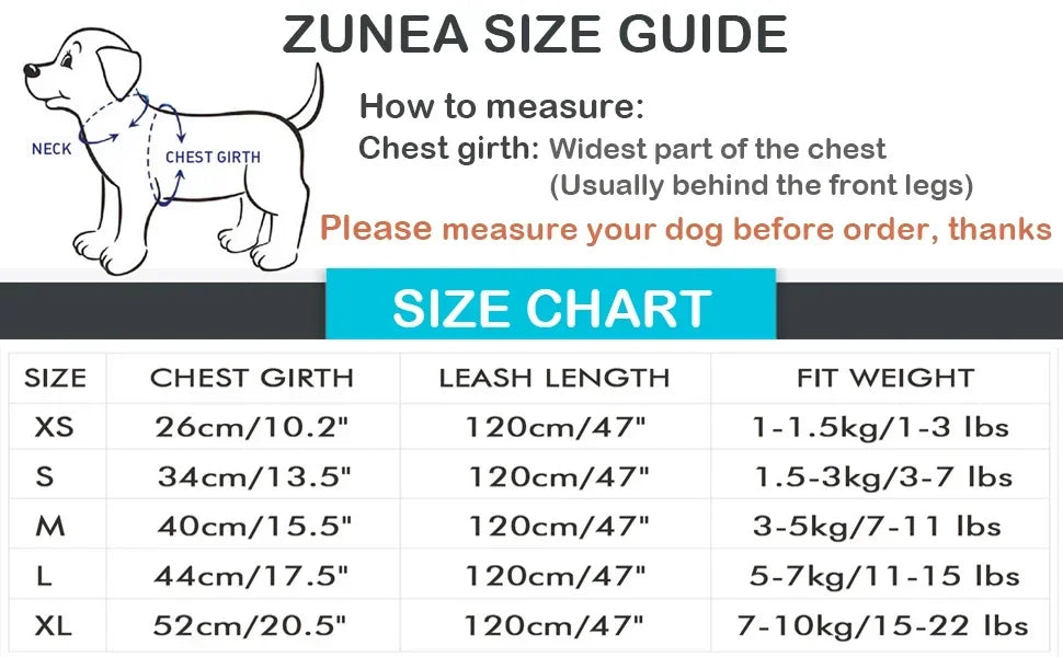 Reflective Breathable Small Dog Harness and Leash