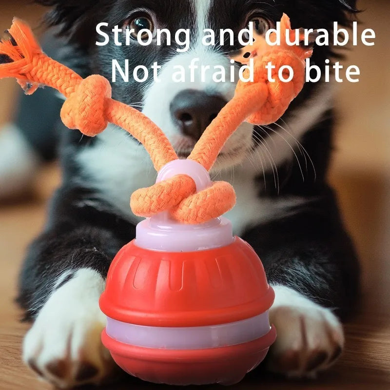 Interactive Teasing Ball With Motion Activated Automatic Moving Squeaky Dog Toy