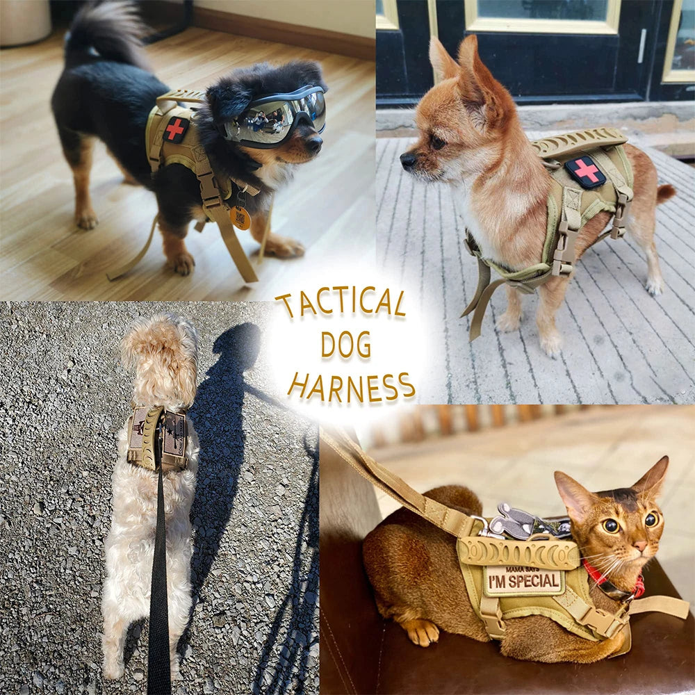 Tactical Puppy Harness Leash Set For Small Dogs