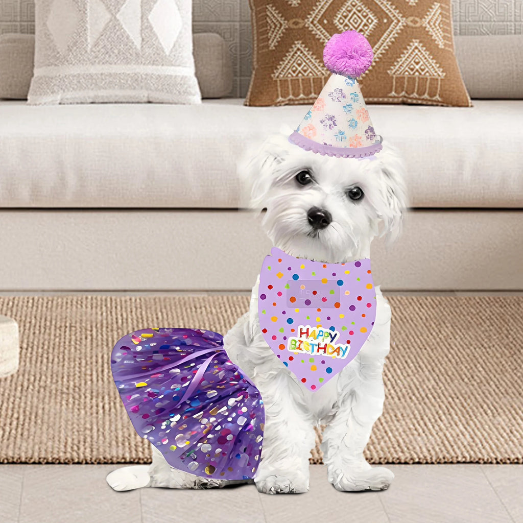 Birthday Costume Set Adorable Party Hat with Matching Skirt and Scarf