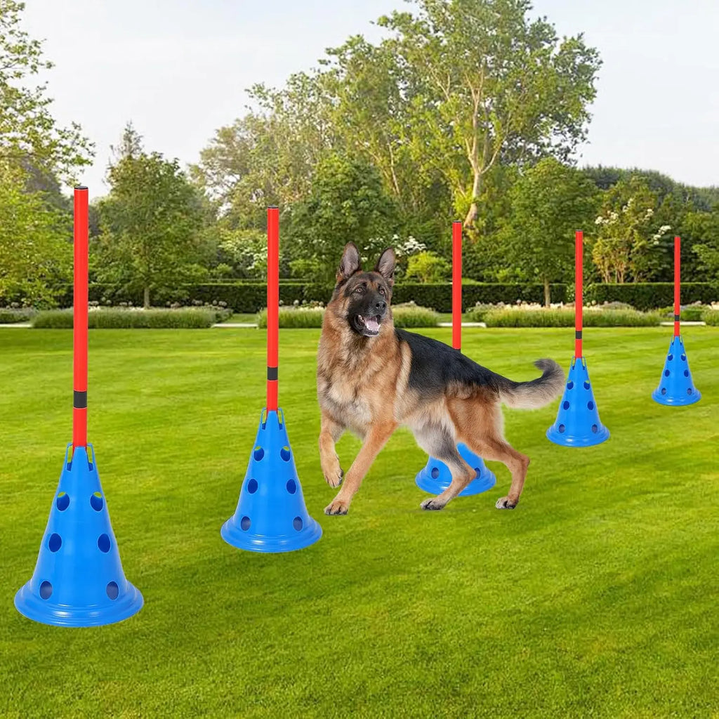 Dog Agility Hurdle Cone Set  Include 12 Agility Cones 6 Agility Rods