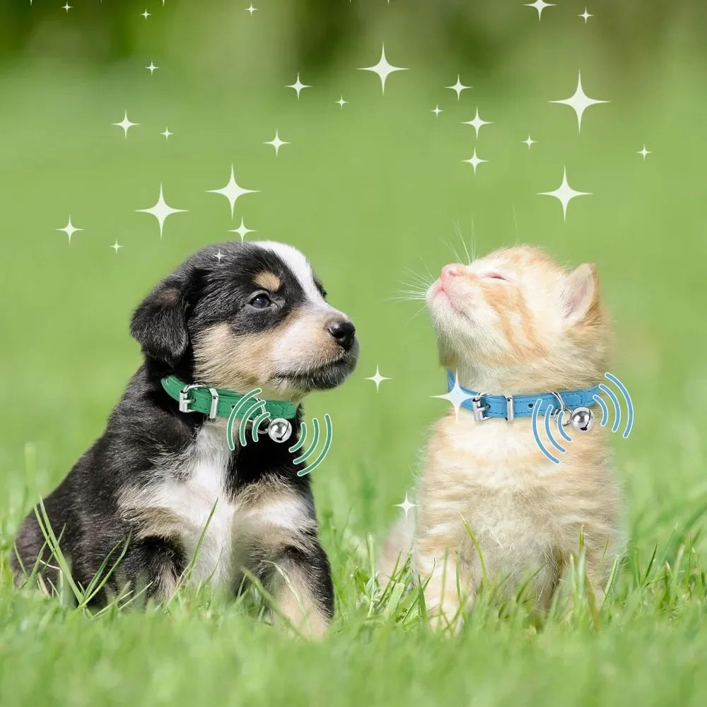 Adjustable Teacup Dog Collar for Small, Medium, and Large Dogs