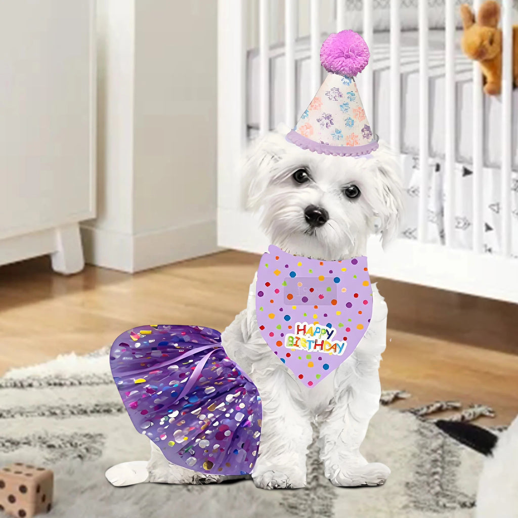 Birthday Costume Set Adorable Party Hat with Matching Skirt and Scarf