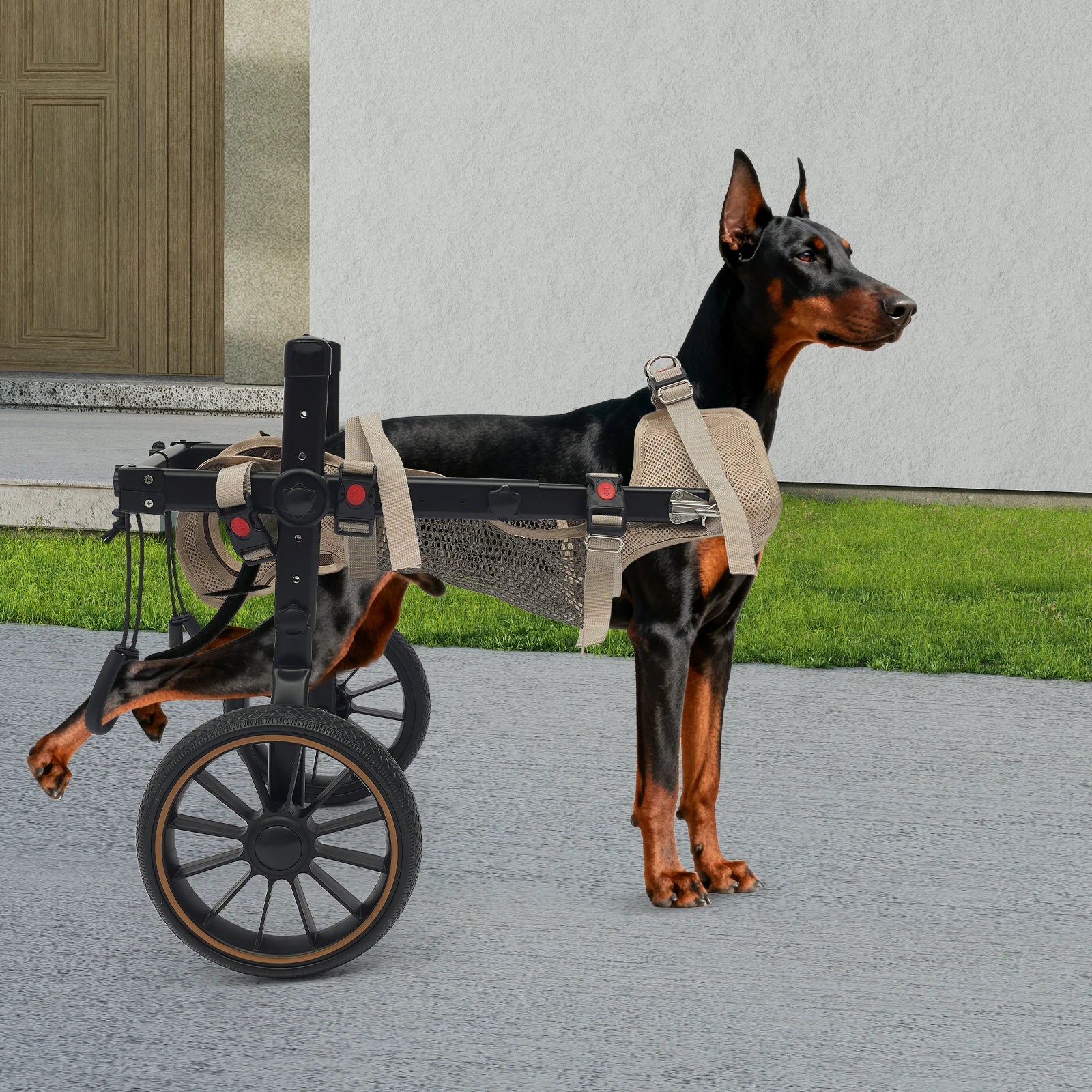 XL Pet Rehabilitation Walking Aid Stable and Reliable 2-wheel Dog Wheelchair