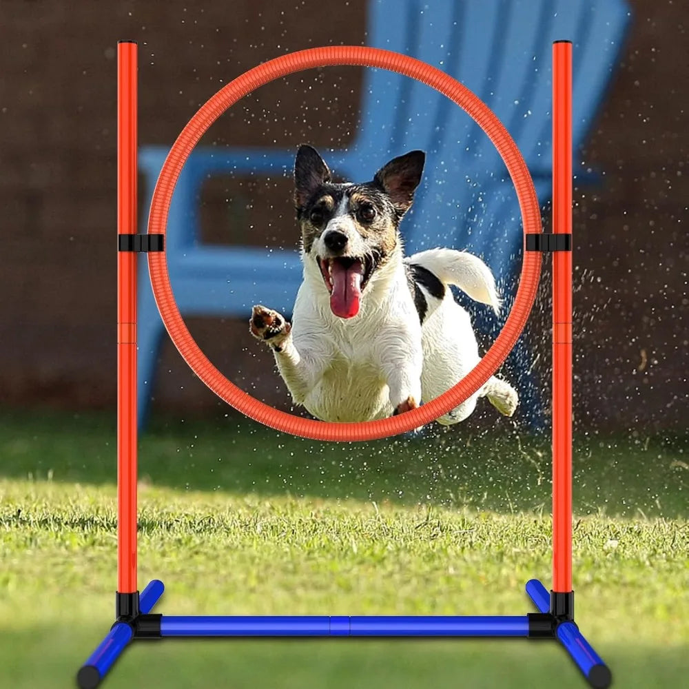 Dog Agility Training Kit Obstacle Course Starter Set