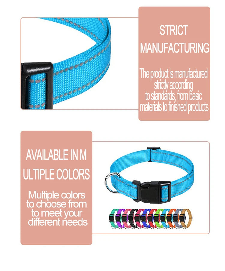 Choker Neck Collars for Dogs
