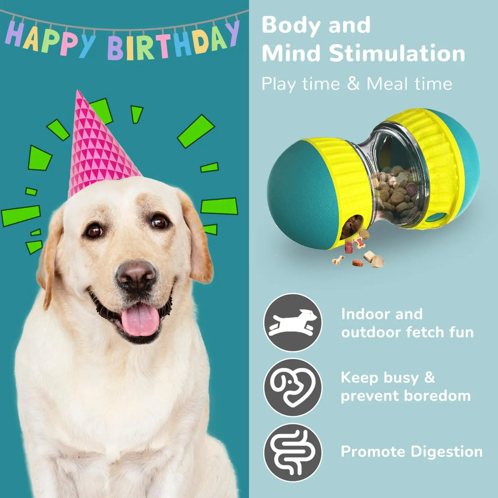 Dog Puzzle Toy Elliptical Track Rolling Increase Intelligence Ball
