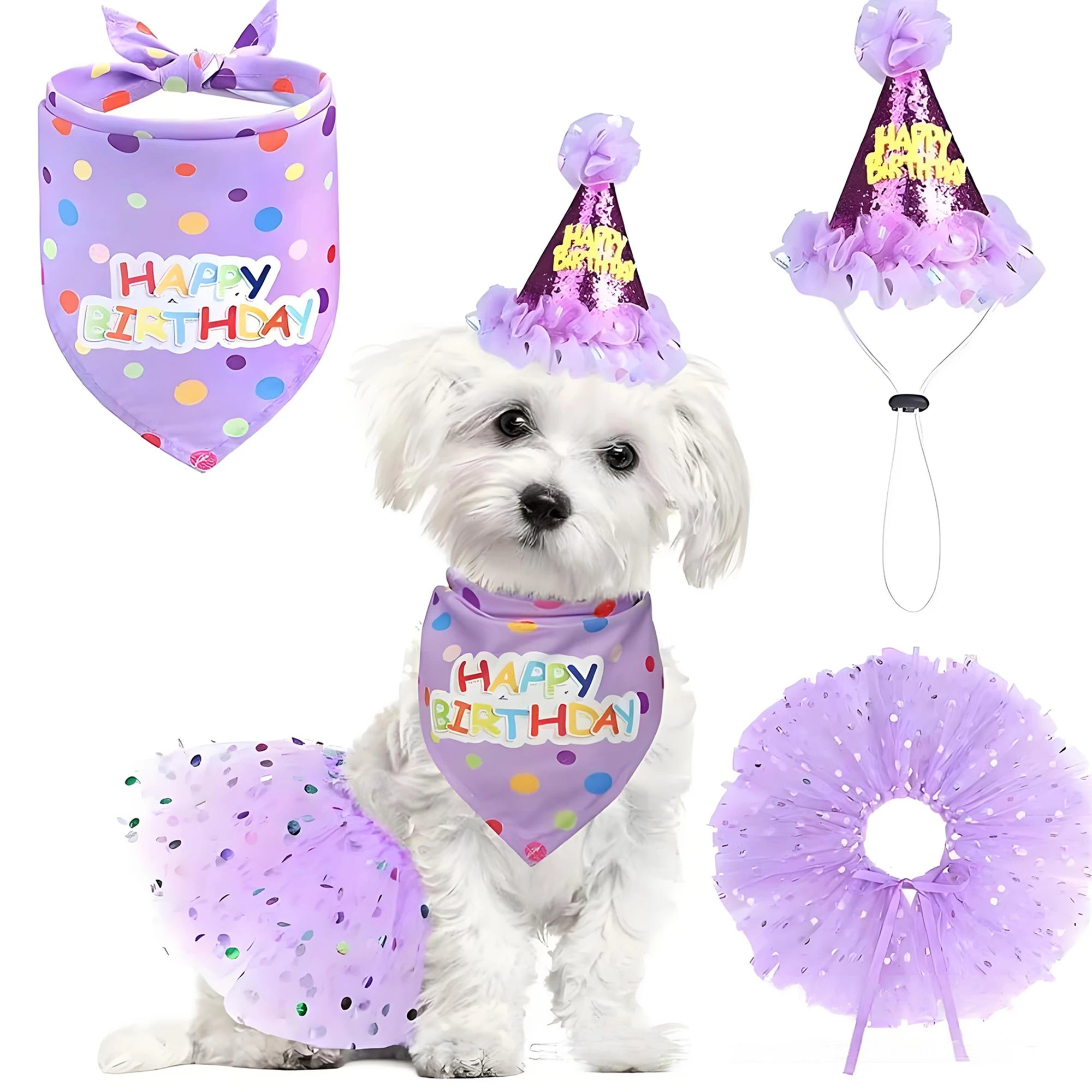 Birthday Costume Set Adorable Party Hat with Matching Skirt and Scarf