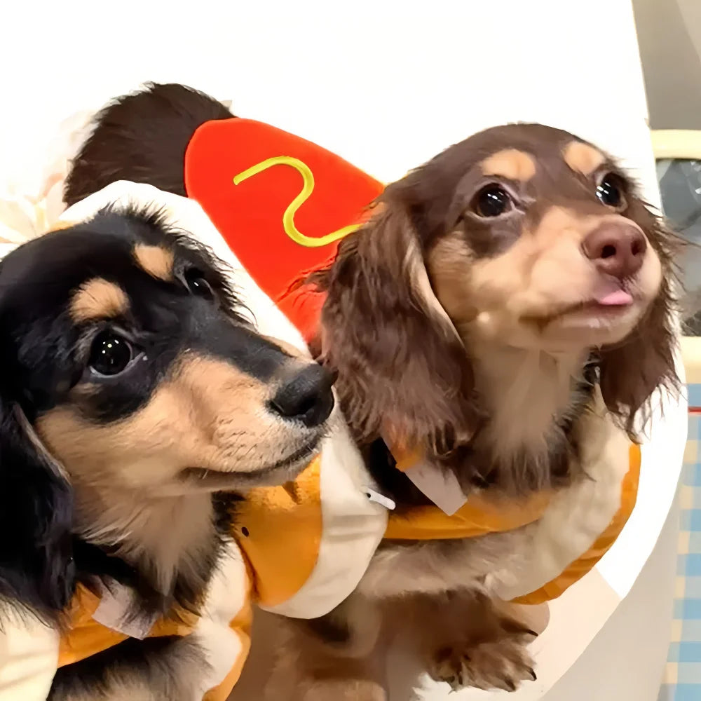 Funny Halloween Dog Costumes Large Small Dogs