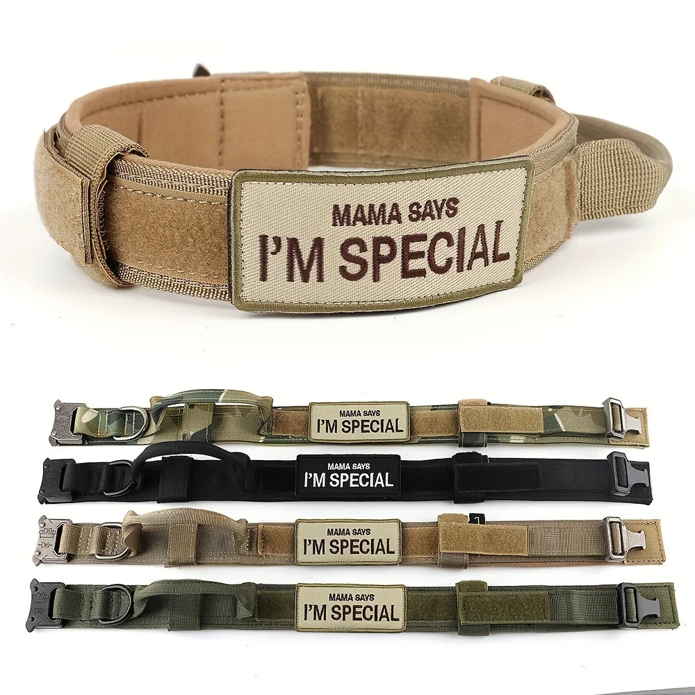 Military Large Dog Harness Collar Leash Bags Patches Set