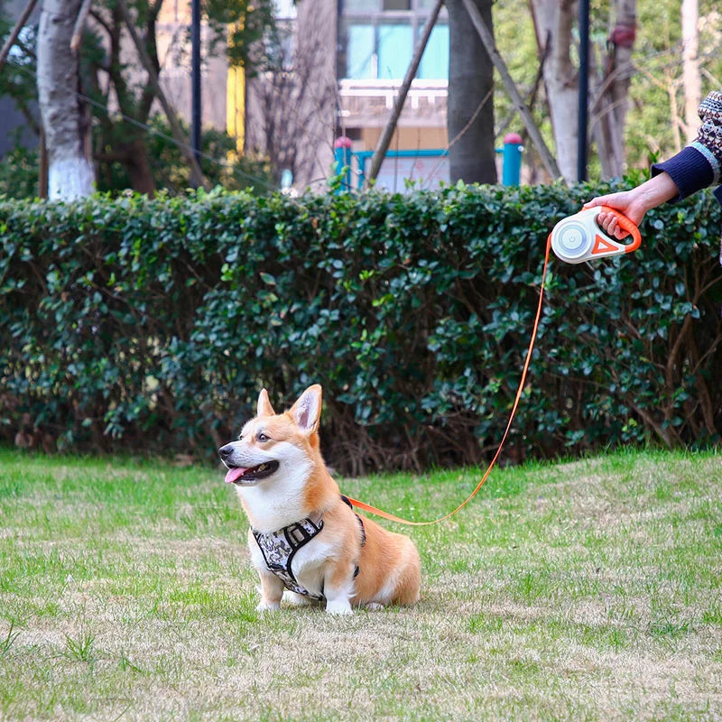 Automatic Retractable Dog Leash with Led Flashlight