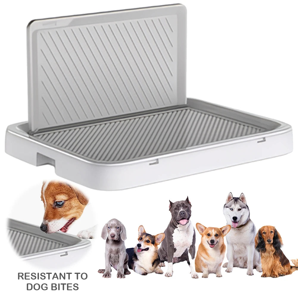Portable Dog Potty Tray with Pee Wall.