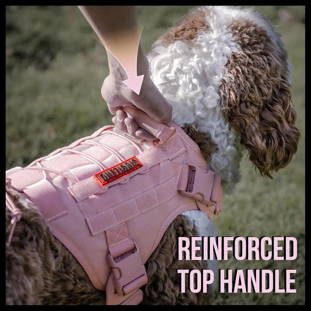 Adjustable No-Pull Dog Harness Vest with Hook & Loop
