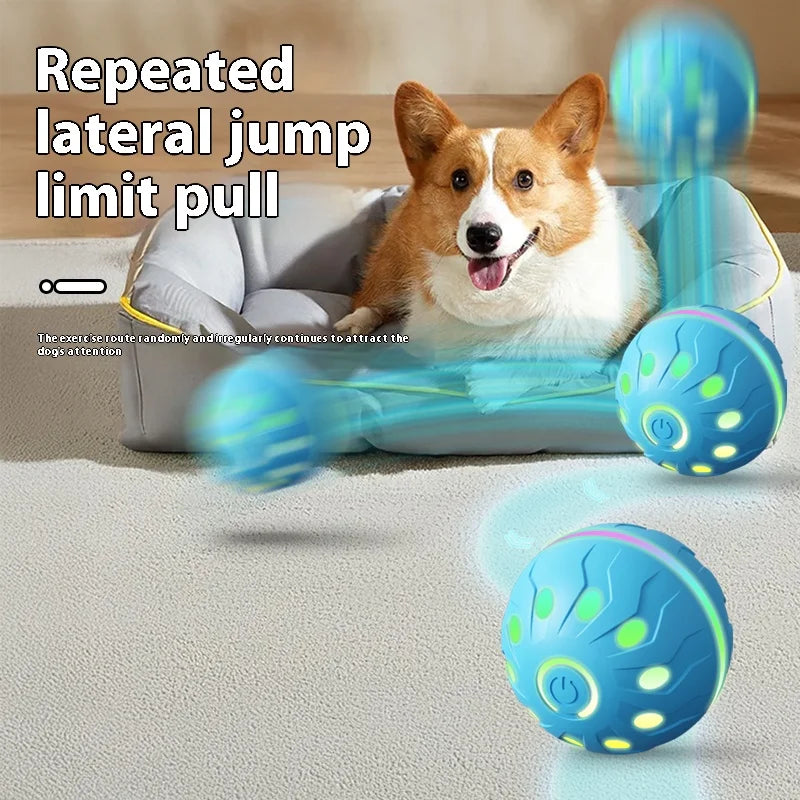 Pet Play Toy Ball, Electric Dog Ball, USB Rechargeable