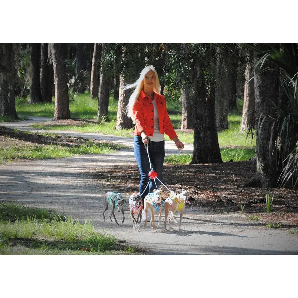 Tangle-Free Multi-Dog Leash for 2-4 Dogs