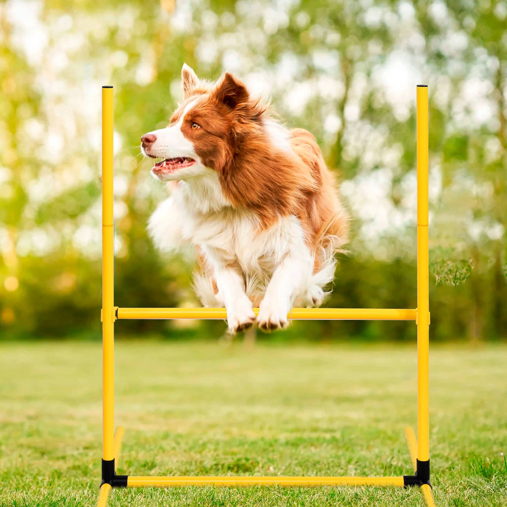 Dog Agility Course Set Dog Training Kit with 2 Tunnels.