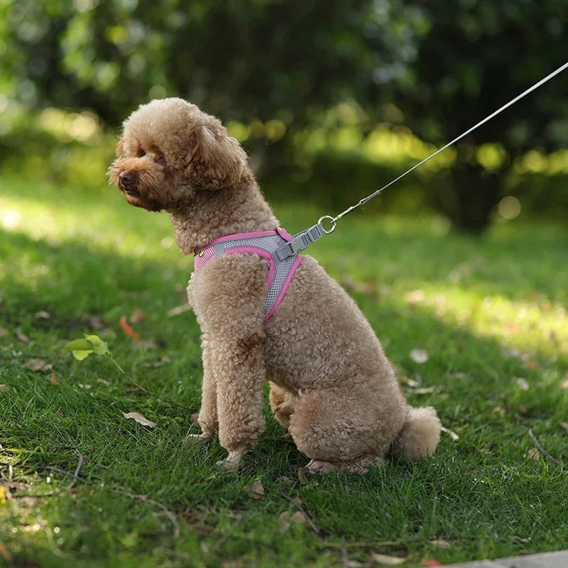 Adjustable Harness for  Puppy or Cat