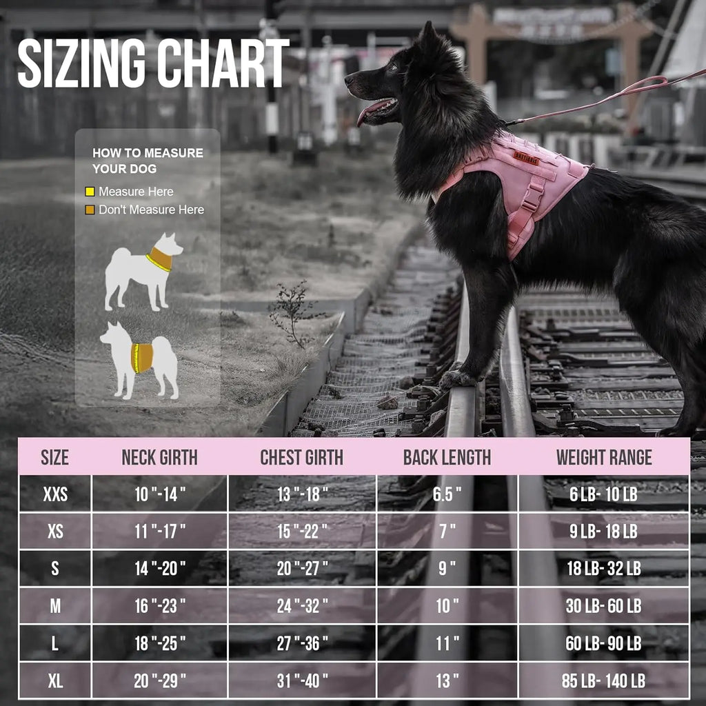 Adjustable No-Pull Dog Harness Vest with Hook & Loop