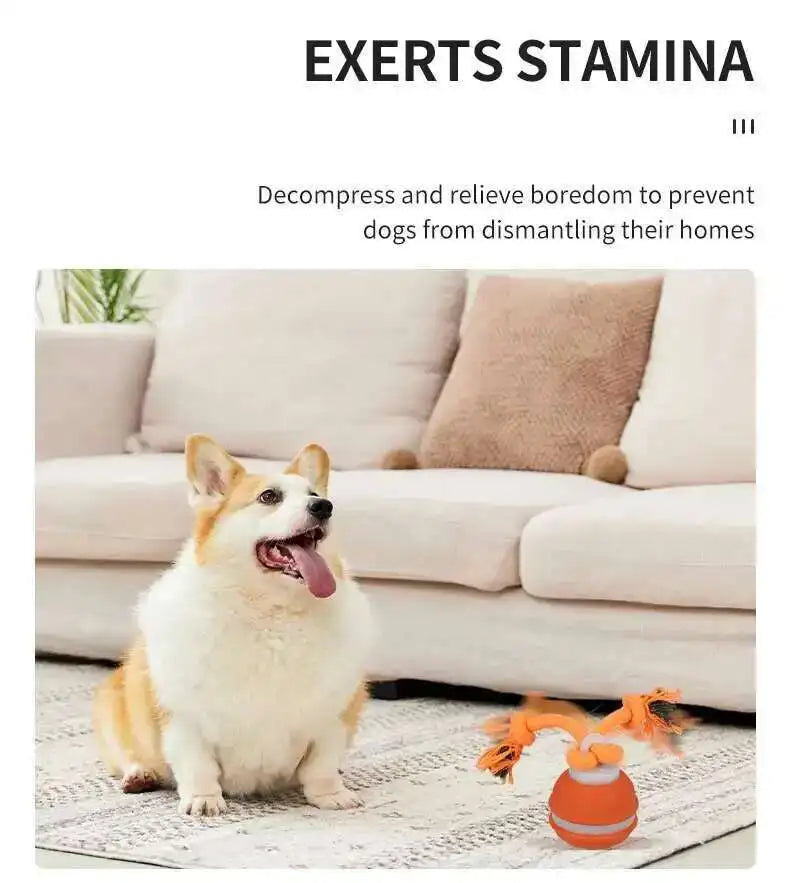 Interactive Teasing Ball With Motion Activated Automatic Moving Squeaky Dog Toy