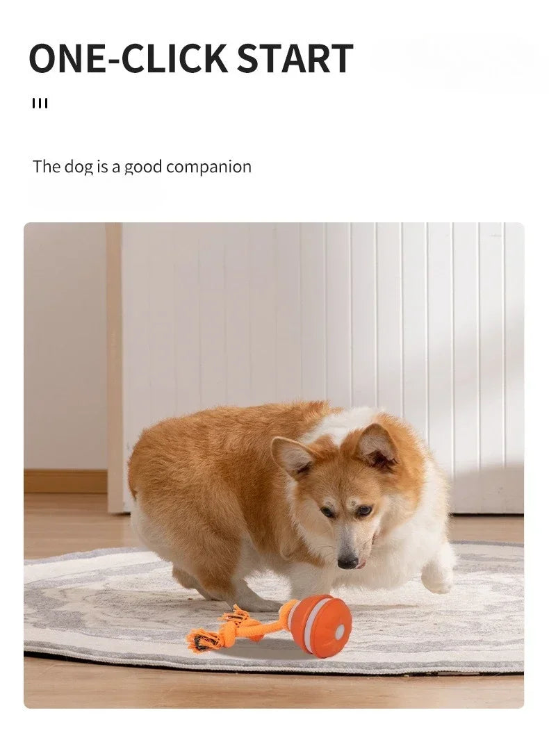 Pet Ball for Dogs Interactive Motion Activate Rolling Ball.