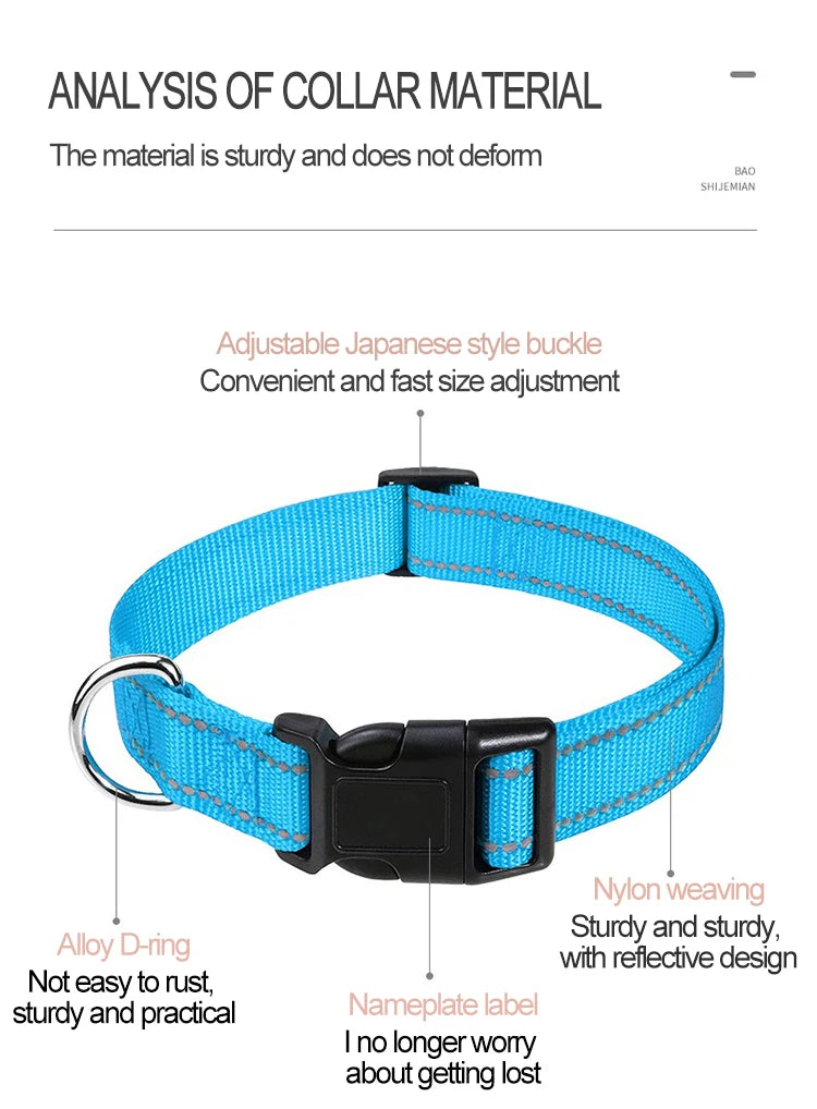 Choker Neck Collars for Dogs