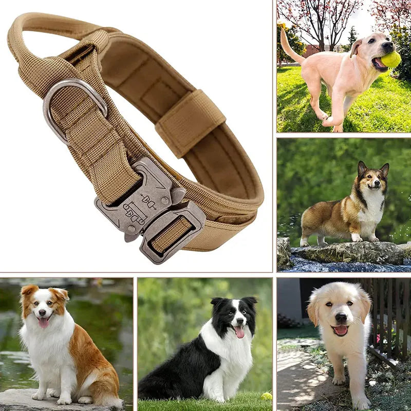 Outdoor Sports Style Tactical Dog Collar For Medium To Large Dogs