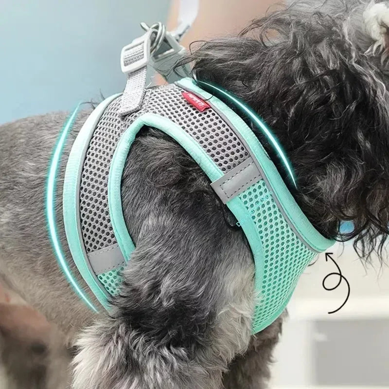 Adjustable Harness for  Puppy or Cat