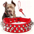 Spiked Dog Collar And Leash Set, Rivet Leather Dog Collar