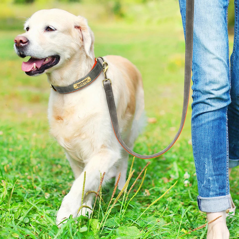 Leather Dog Collar Leash And Collar With Free Engraved Nameplate