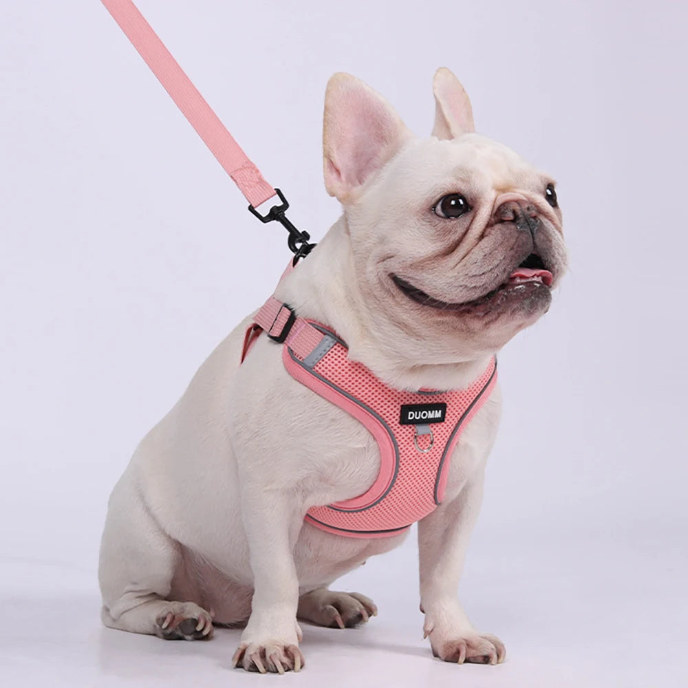 Classic Soft Dog Harness and Leash Set, Breathable Mesh Comfort Vest.  Reflective Dog Harness