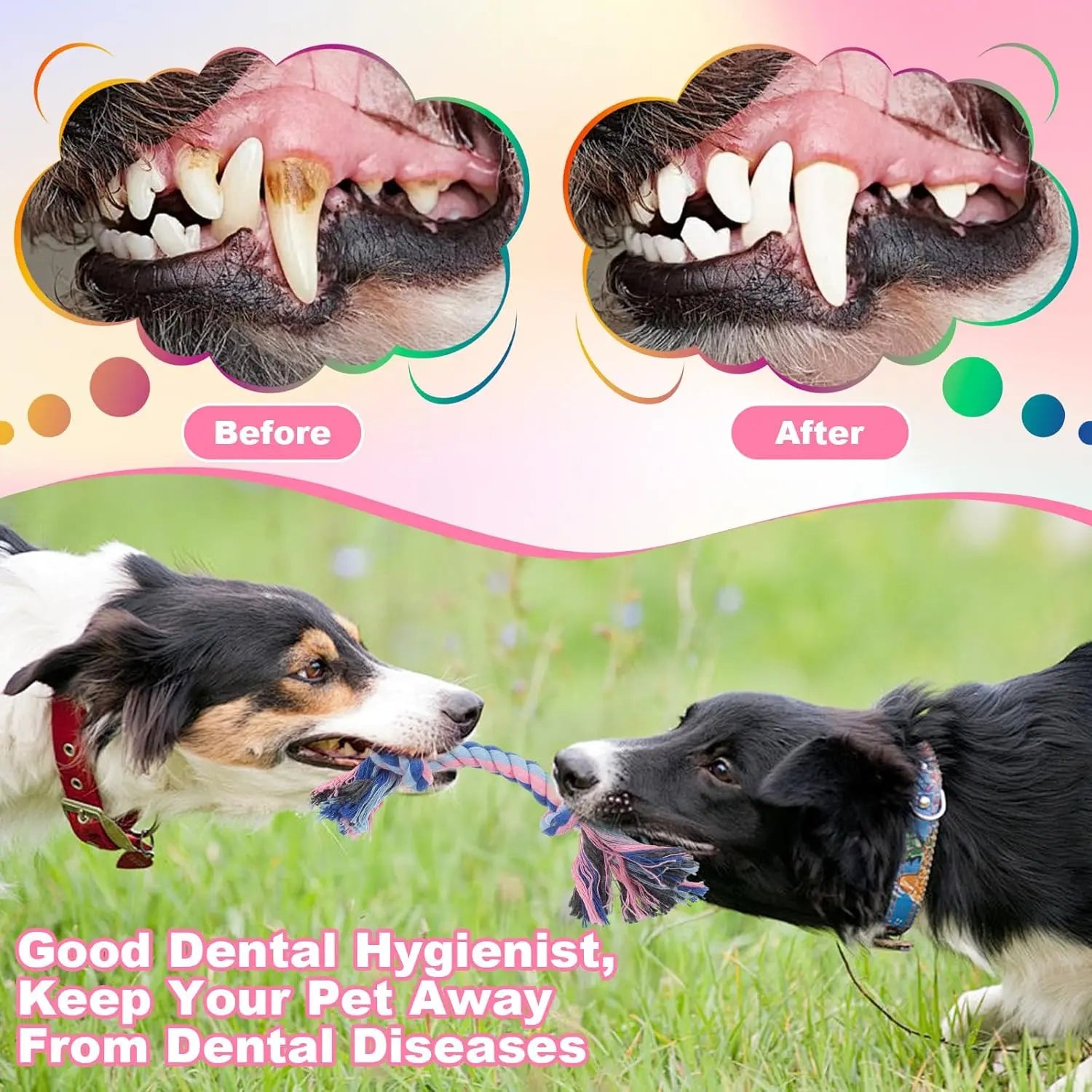 Colorful Braided Dog Rope Chew Toys-Durable Interactive
