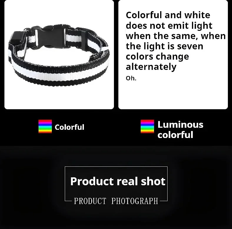 Dog Collar Nylon LED Night Safety Flashing Glow In The Dark