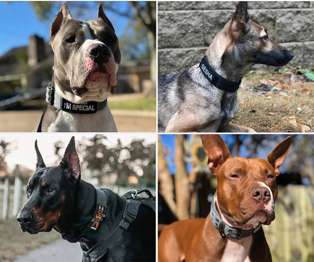 Tactical Dog Collar 1pc Durable Nylon Military Collars