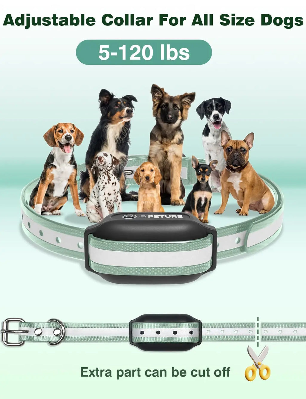 Dog Shock Collar with Remote, Shock & Double Shock Mode ,