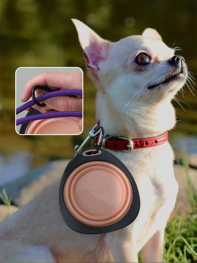Pet Folding Silicone Bowl Collapsible Dog Outdoor Travel