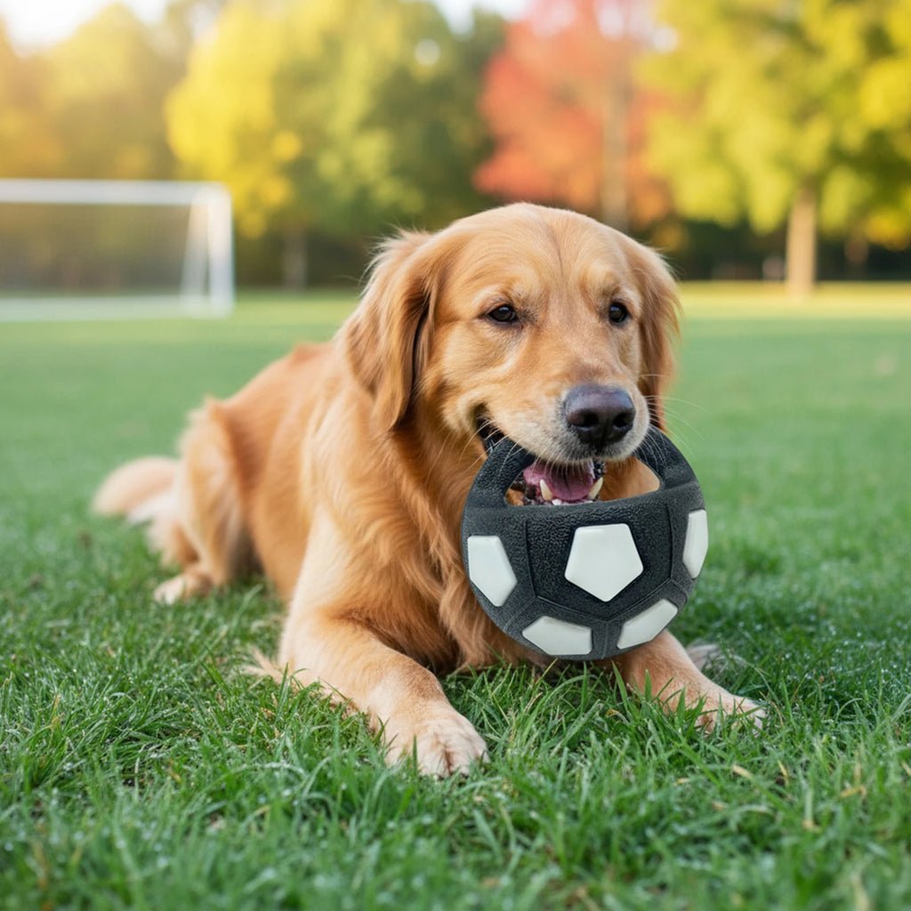 Dog Calming Ball with Handle Pet Dog Football Shape Toy.