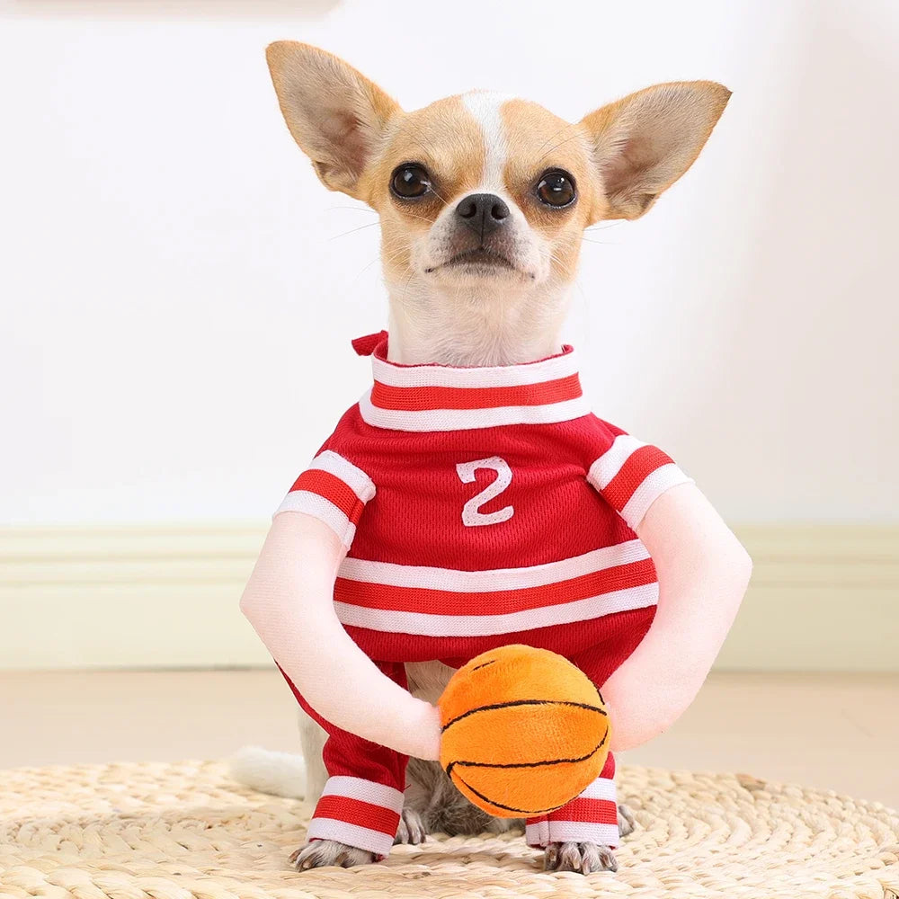 Funny Basketball Cosplay Pet Costume