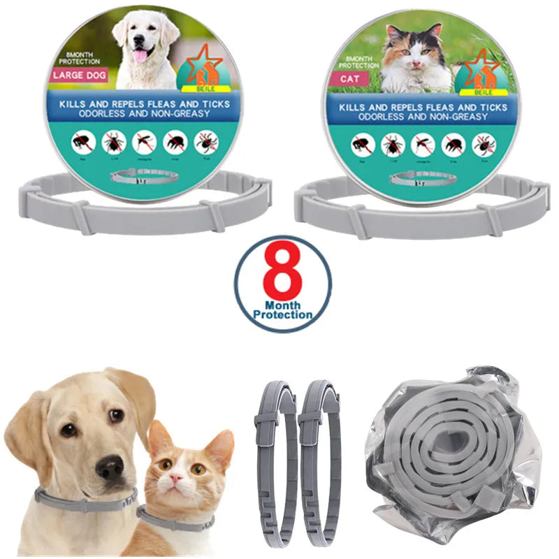 USB Rechargeable Luminous Collar Adjustable Led Glowing Dog Collar