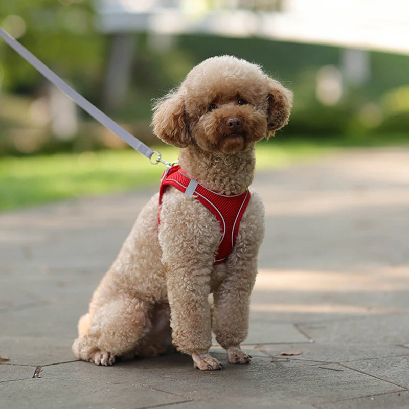 Dog Harness Leash Set for Small Dogs Adjustable