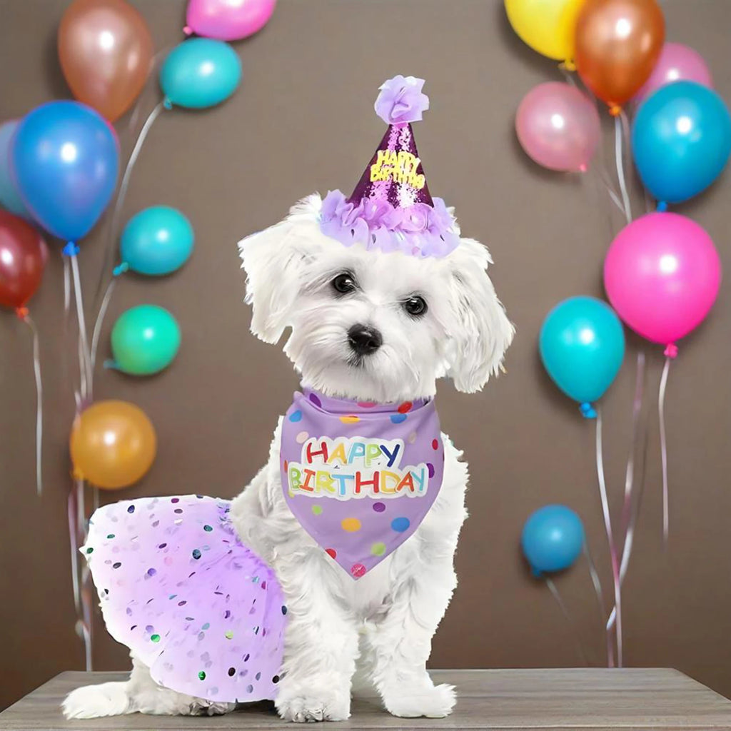 Birthday Costume Set Adorable Party Hat with Matching Skirt and Scarf