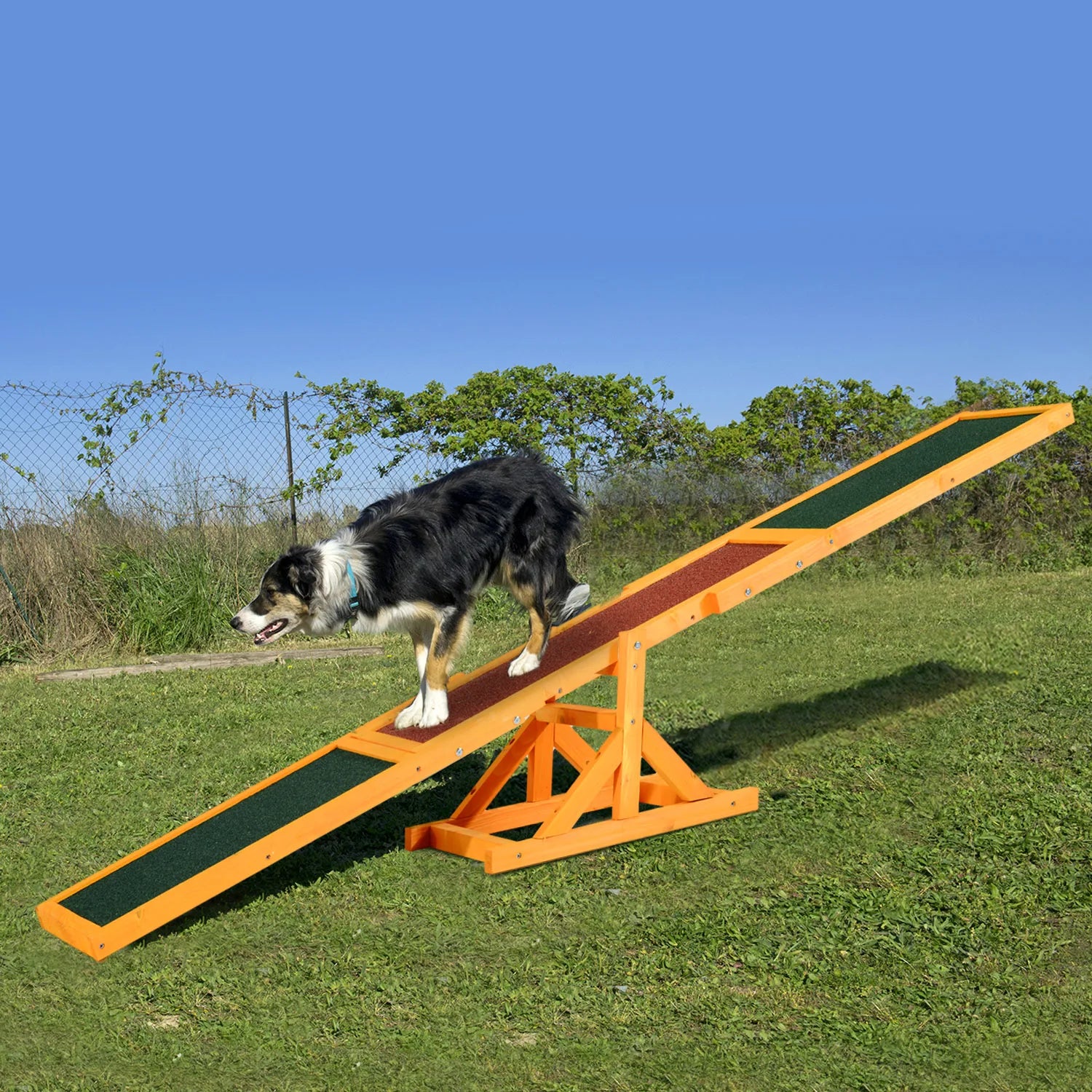 Dog Agility Seesaw Teeter Board for Training Pets Up To 88 Lbs.