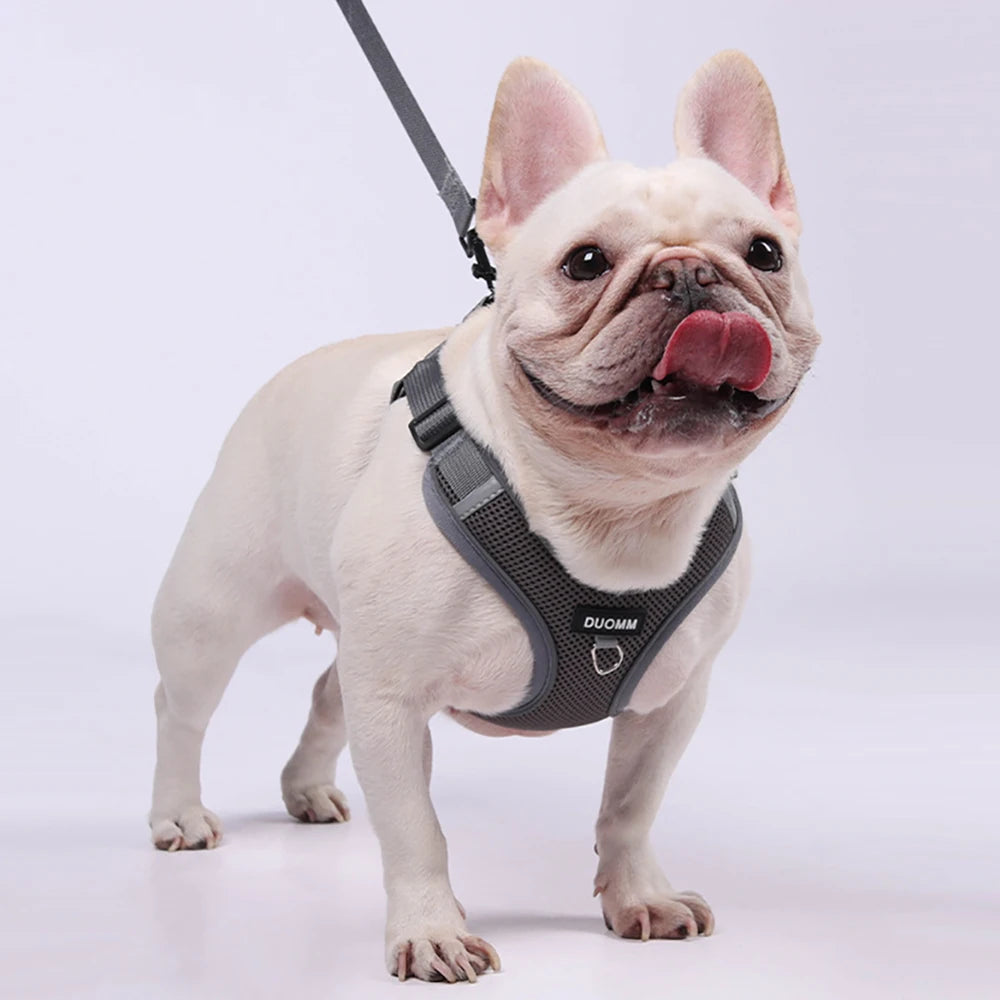 Classic Soft Dog Harness and Leash Set, Breathable Mesh Comfort Vest.  Reflective Dog Harness